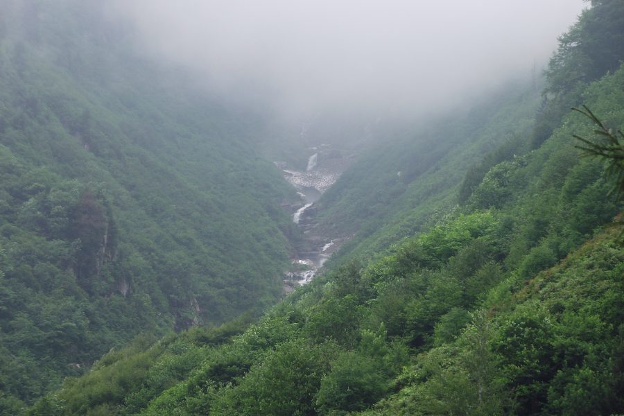 Ayder Tour – An Unforgettable Journey in the Beauty of Nature – Departing from Rize