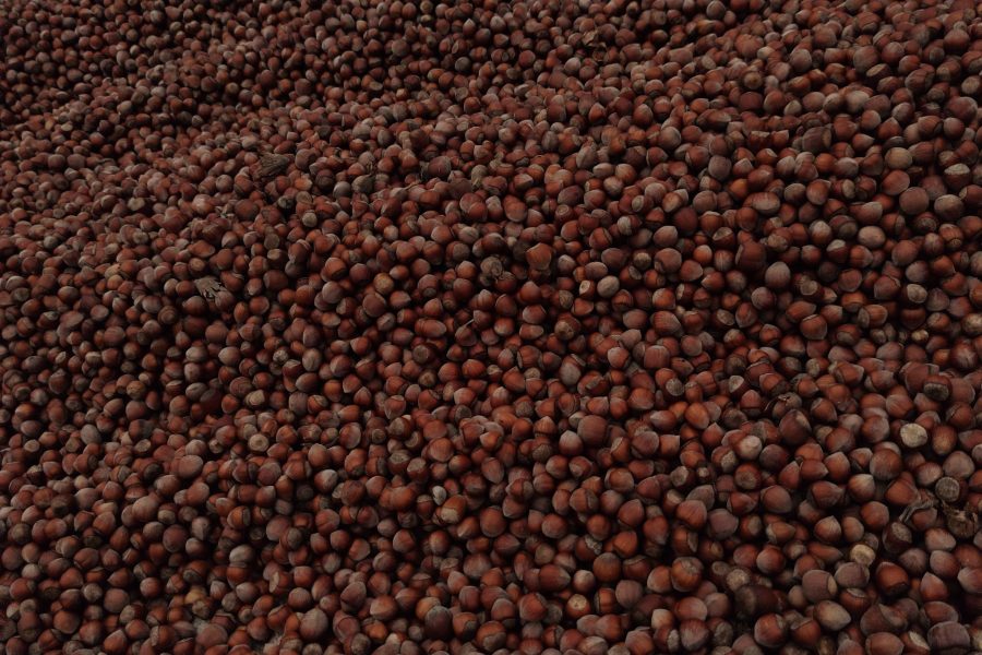 In the Footsteps of the Black Sea: Giresun and Ordu Discovery Tour – Departing from Trabzon